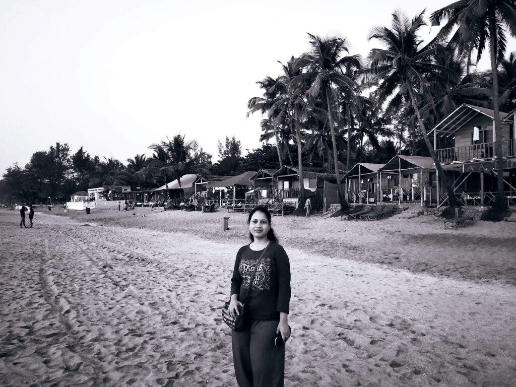 Beach Huts - agonda beach