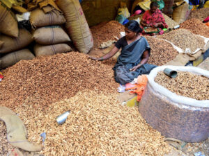 The Famous Festival - Kadalekai Parishe in Bangalore