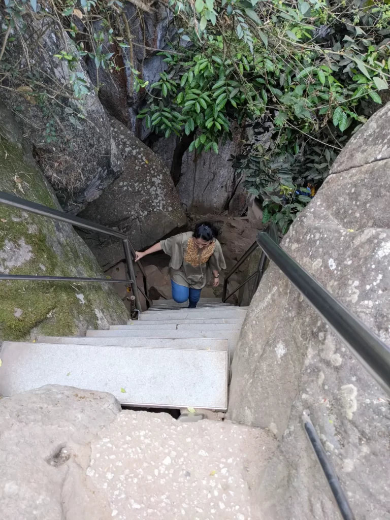 Wayanad tourist places