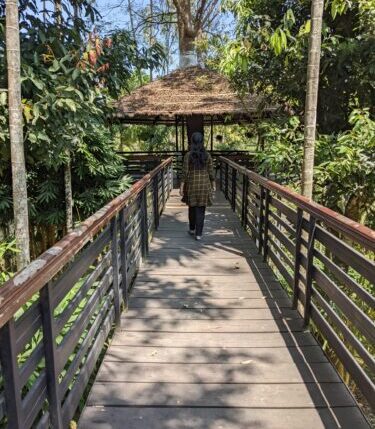 woods resort wayanad