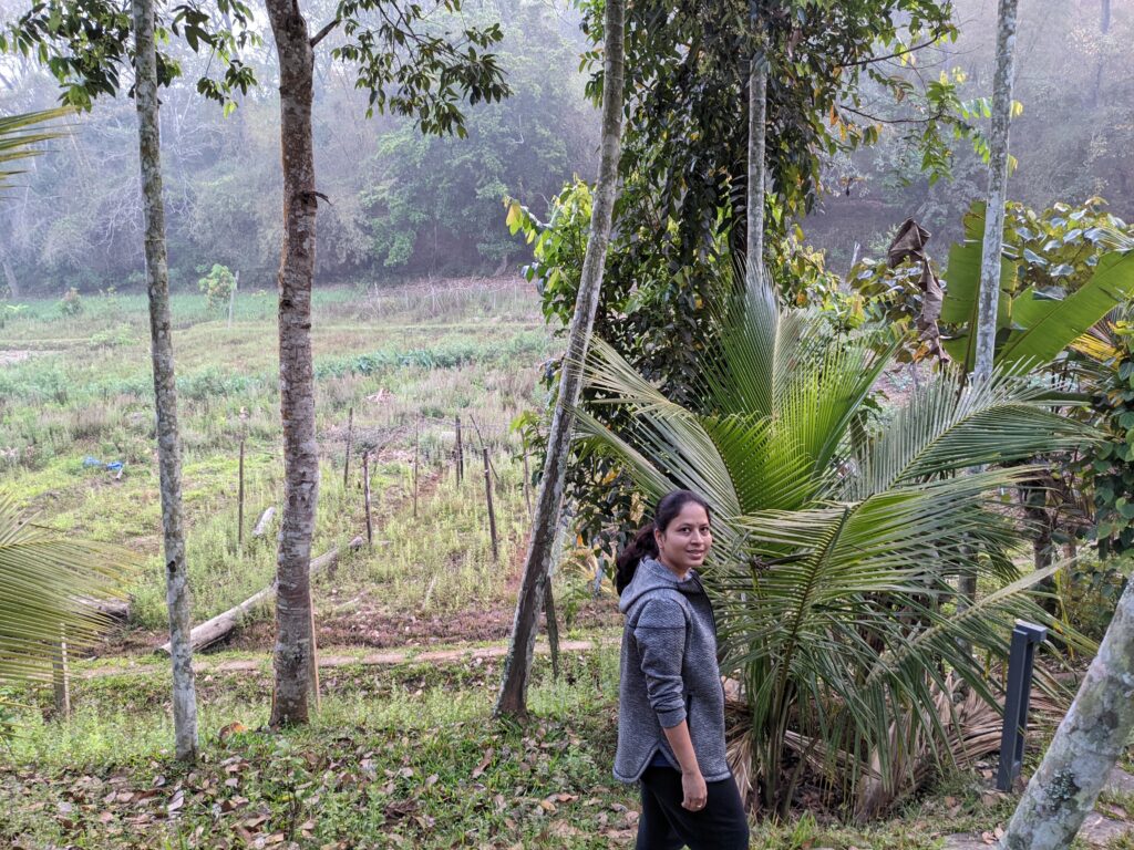 woods resort wayanad